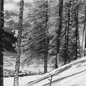 https://hotel-livigno.it-lombardy.com